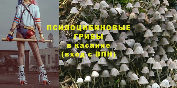 круглые Алексеевка