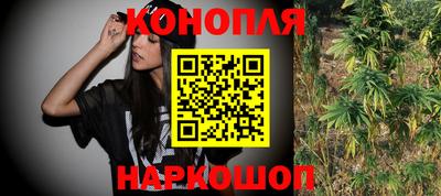сатива Лесосибирск