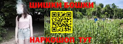 сатива Лесосибирск