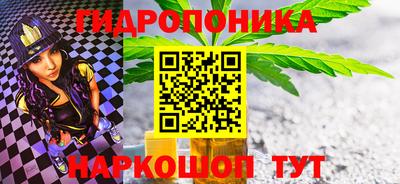 сатива Лесосибирск