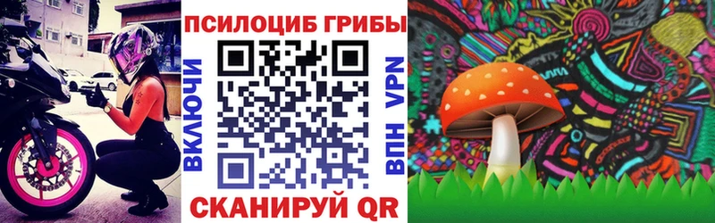 ОМГ ОМГ онион  Дзержинск  Псилоцибиновые грибы мухоморы  купить наркотики цена 